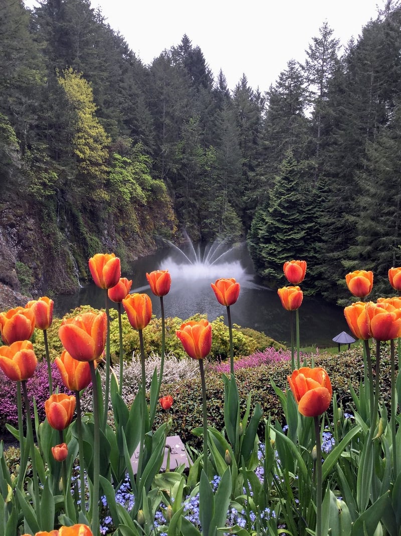 The Butchart Gardens, Canada